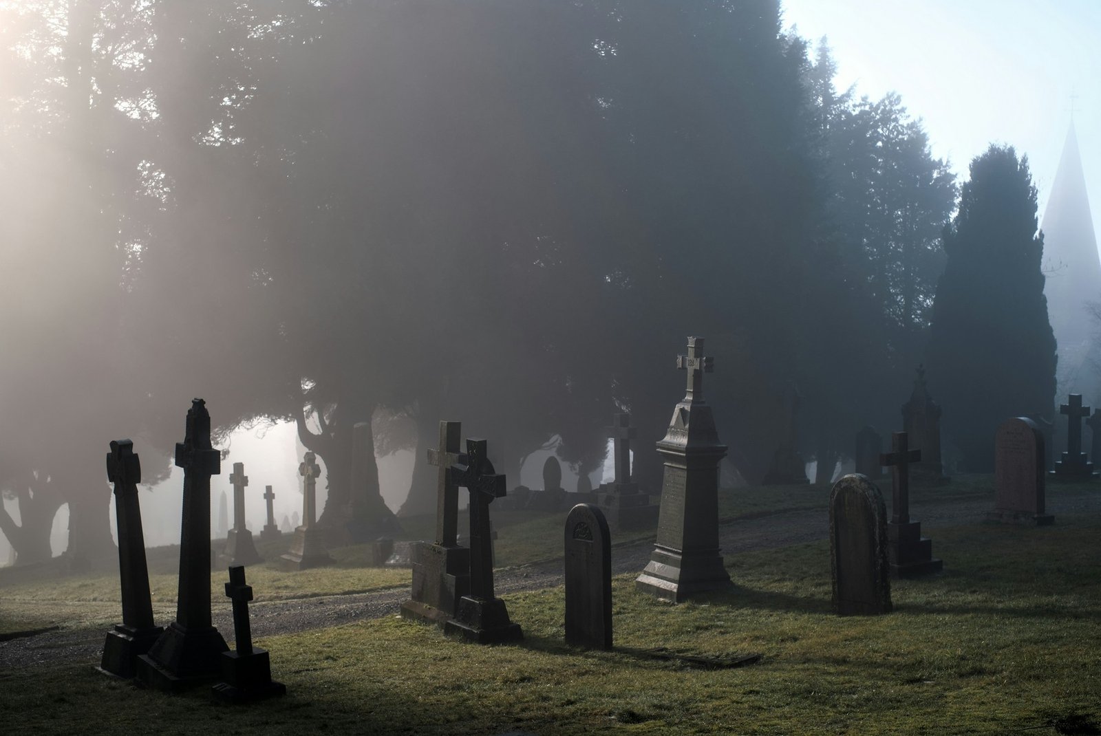 Gepflegter Grabstein auf einem Friedhof